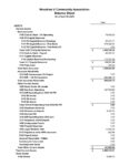 4.30.2025 CA Financials